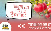 המוני נרשמים לחידון הארץ ומצוותיה
