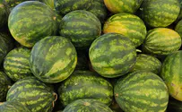 Watermelon smashing prop comic Gallagher dies at 76