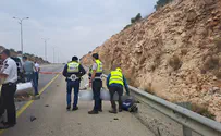 הממשלה צריכה לפעול צבאית מול אבו מאזן
