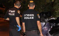 Dog bites police during arrest of stabbing murder suspect
