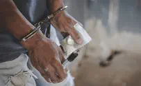 Watch: 'Most wanted' Israeli arrested in South Africa