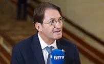 «Я – сторонник реформ, но предпочитаю единство»
