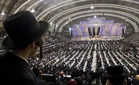 הרבי מסאטמר נגד הח"כים החרדיים