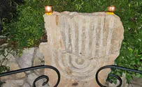 האור של סגן דוד גולובנציץ