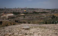 בעקבות הר הזיתים | חידון יומי לחנוכה