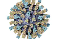 Israeli researchers discover 100,000 new types of viruses 