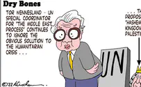 A challenge for the UN Security Council