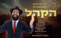 שיר חדש (ושקט!) לצבי גרינהיים: "הקהל"