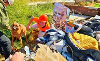 Australian students train in Israeli disaster recovery methods