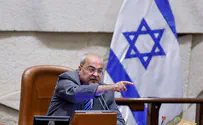 מחבלים במינוי                       
