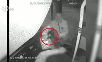Обвинение подростку, напавшему на водителя автобуса. Видео