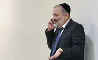 תגובה הולמת                         