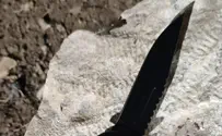Terror attack thwarted in Jerusalem: Arab teen apprehended