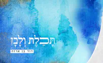 עטיפת הסינגל דוד בן ארזה משחרר הפתעה חדשה: "תכלת ולבן"