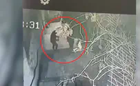 נלכדו מחבלים שיידו בקבוקי תבערה באבו-טור