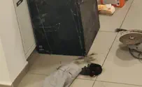 Man saws off, steals ATM with NIS 25,000