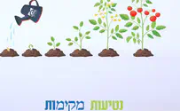 מה הקשר בין נטיעות לעמותת מקימי?