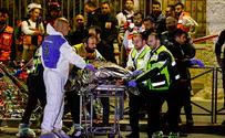 Who’s really to blame for Friday’s terrorist attack? 