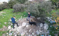 שודדי העתיקות נתפסו בבור