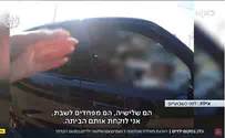 שלושה ילדים במושב הקדמי - הכלב מאחורה