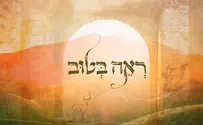 ראה בטוב - שיר חדש ומרגש על אסתר פולארד