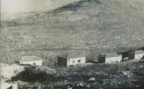 קמים מהשבעה                         