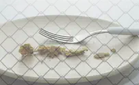 איך קרה שאיש לא ידע על האשה הגוועת ברעב?