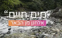 מים חיים - שיר חדש על חלום גדול
