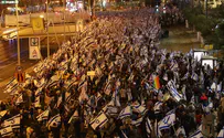הידברות של כריש, סרדין ודולפין?