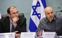 ועדת החוקה אישרה את צמצום עילת הסבירות