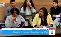 צילום: ערוץ הכנסת "קדיש" בוועדת חוקה