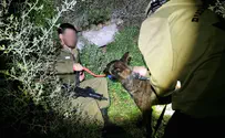 Israel Dog unit runs joint exercise with IDF officers' course