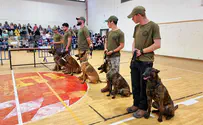 Israel Dog Unit brightens Passover for special needs children 