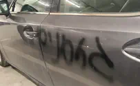 משחיתים למען הדמוקרטיה              