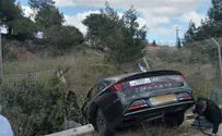 הם גונבים גם לאור יום ובכביש ראשי