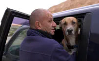 אתה מבין מתישהו שהמוות לא צריך להפחיד