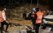 דרסה למוות נער בן 15 ונמלטה מהזירה