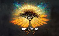 קול הנשמה: בועז אביאני & אריאל אביזוב