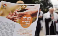 רבים נוהגים לומר היום את תפילת השל"ה