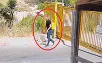 מחבל נוטרל בפתח בית כנסת בדרום הר חברון
