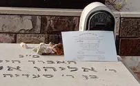 אודליה מתחתנת ואין לה איך לשלם