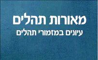 תהילים בין האקדמיה לבית המדרש
