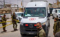 'Our message to Egypt: we expect a thorough investigation' 