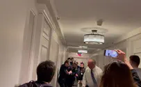 Leftist protester attempts to violently attack Likud MK
