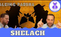 Talking Parsha - Shelach: How's this connected to the Mergalim??