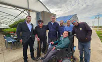 גנים מונגשים. הזדמנות ראשונה לחברים