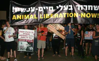 Is animal experimentation halakhically permissible?