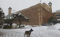 Israel Dog Unit bids farewell to heroic search dog
