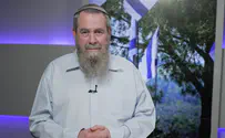 אבי מעוז: יש לדחות הבחירות המקומיות