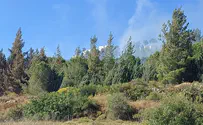 Biblical Zoo, Israel Aquarium evacuated due to forest fire